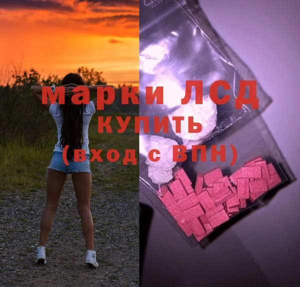 молекула духа Ростов
