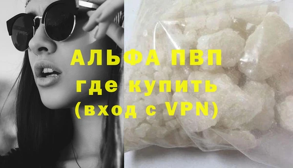 молекула духа Ростов