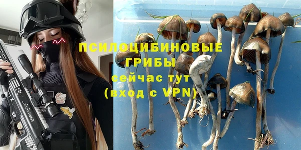 бошки Рославль