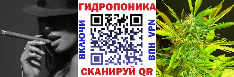 где найти Лосино-Петровский Бошки Шишки планчик